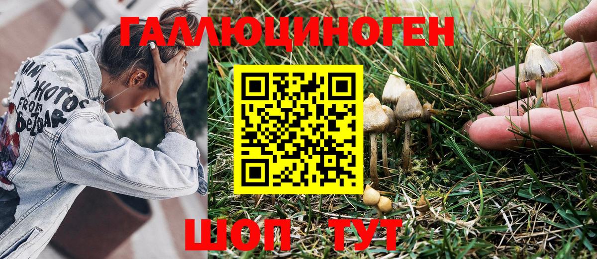 Псилоцибиновые грибы GOLDEN TEACHER  купить   Псилоцибиновые грибы MAGIC MUSHROOMS  Сатка  Вход с VPN 